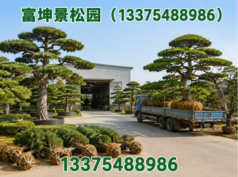 富坤景松园(13375488986)公司介绍图