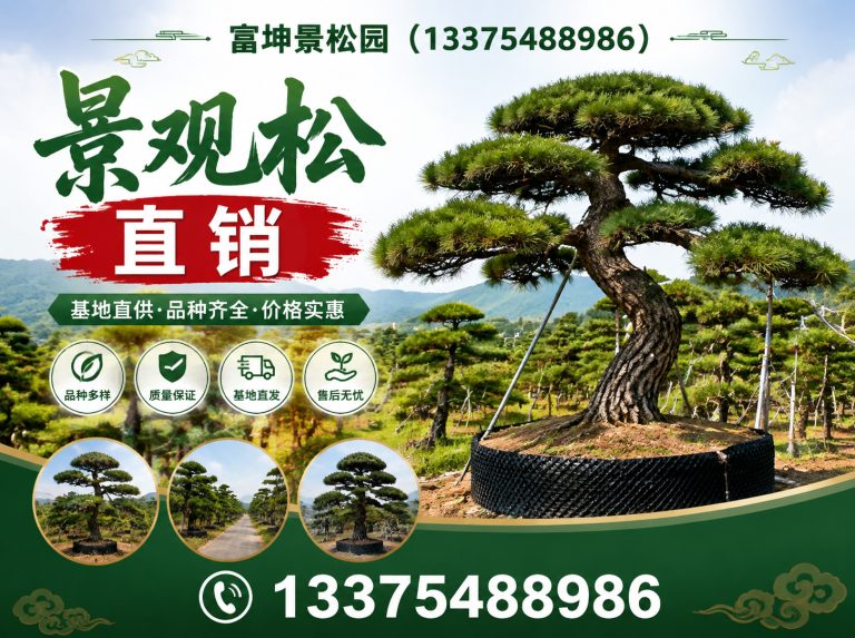 宁阳县富坤景松园展示图